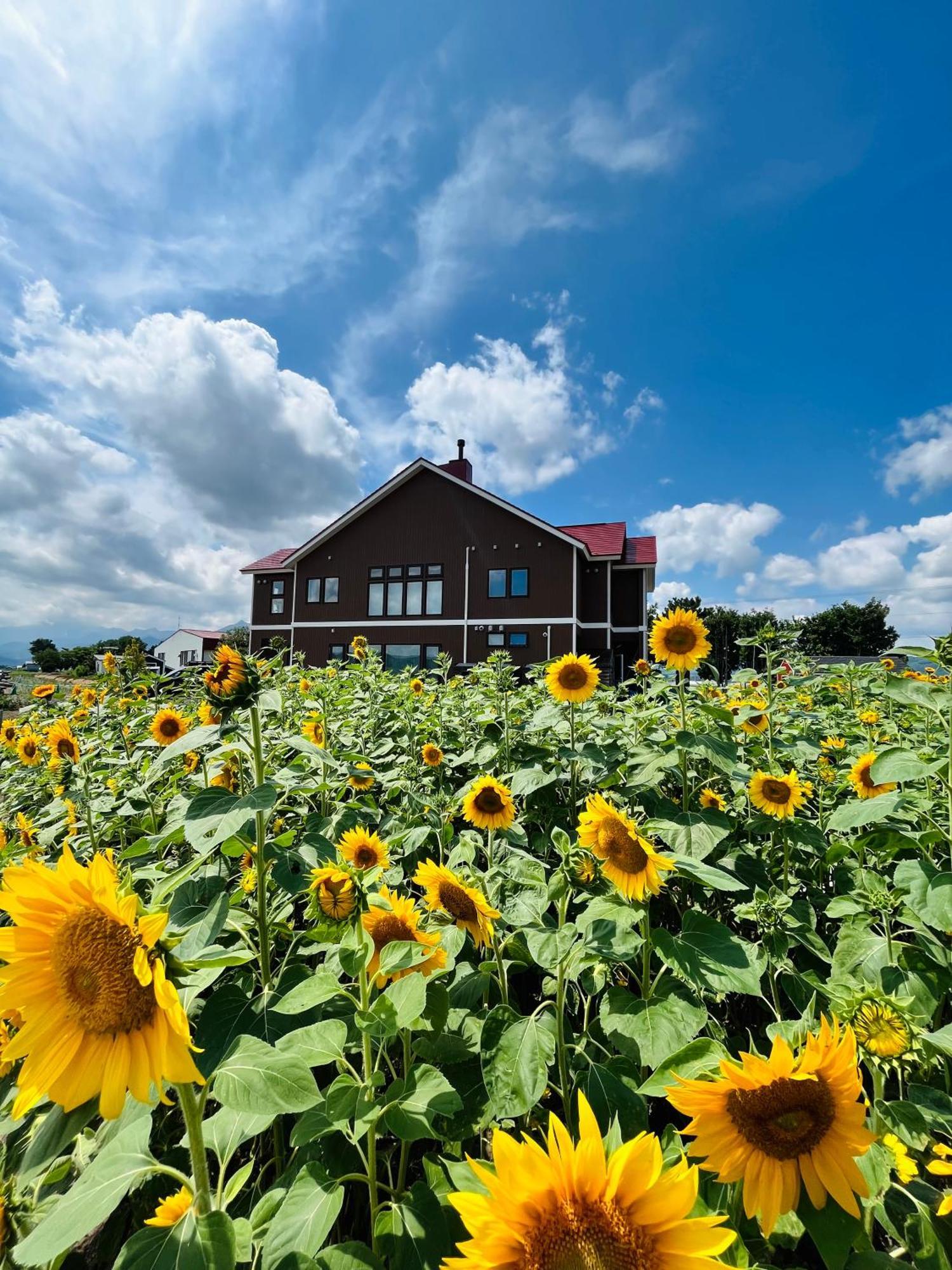 Shooting Star The Bed & Breakfast Furano Luaran gambar